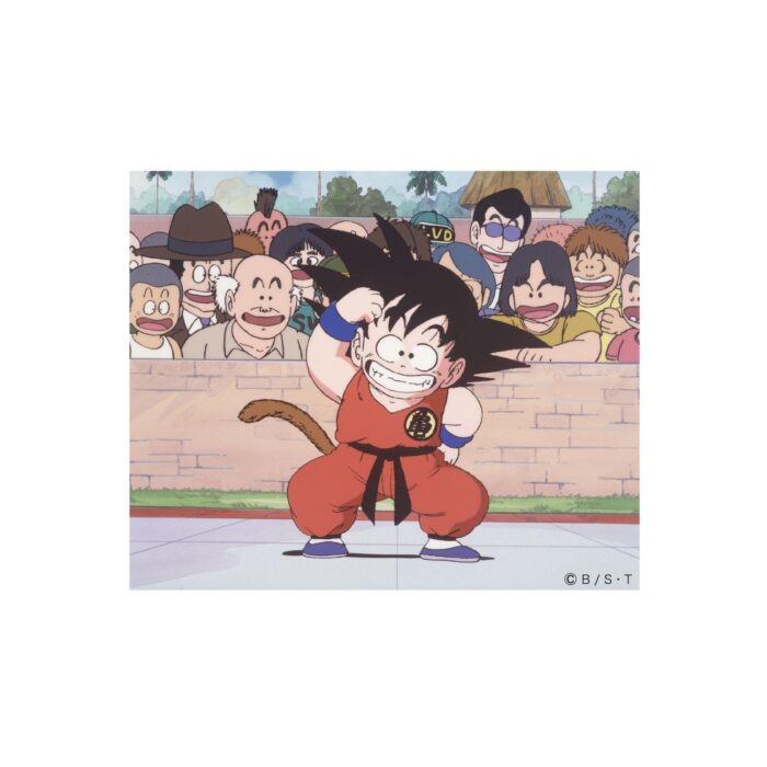 Character Sticker Dragon Ball Goku Tenkaichi Budokai
