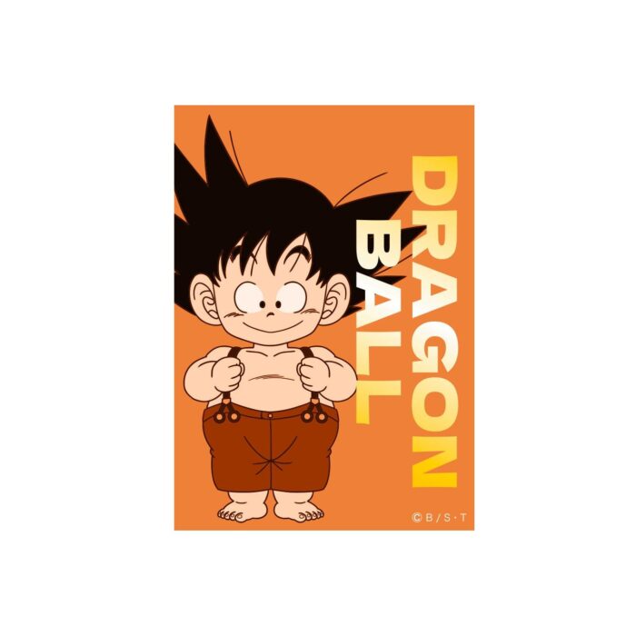 Character Sticker Dragon Ball CostumeOR
