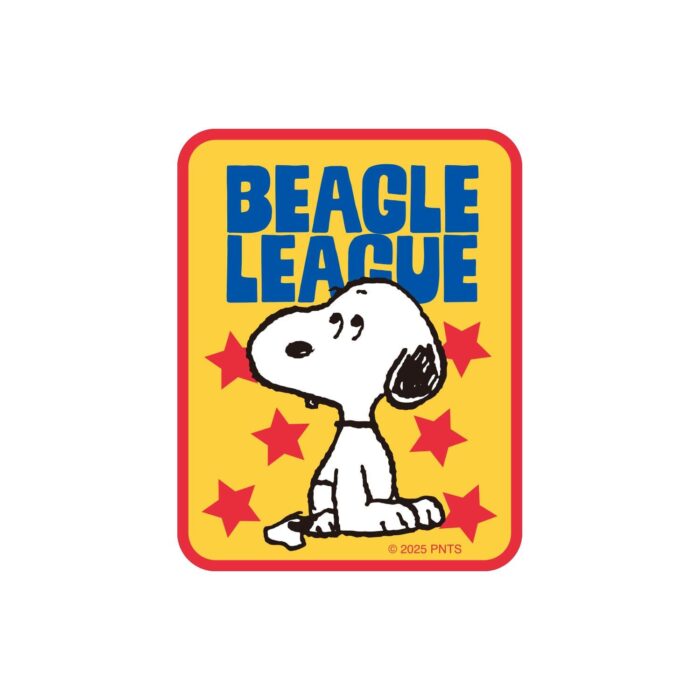 Character Sticker PEANUTS Peanuts Snoopy Star