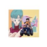 Character Sticker Dragon Ball Car