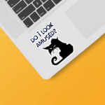 Black Cat Not Amused Energy Sticker