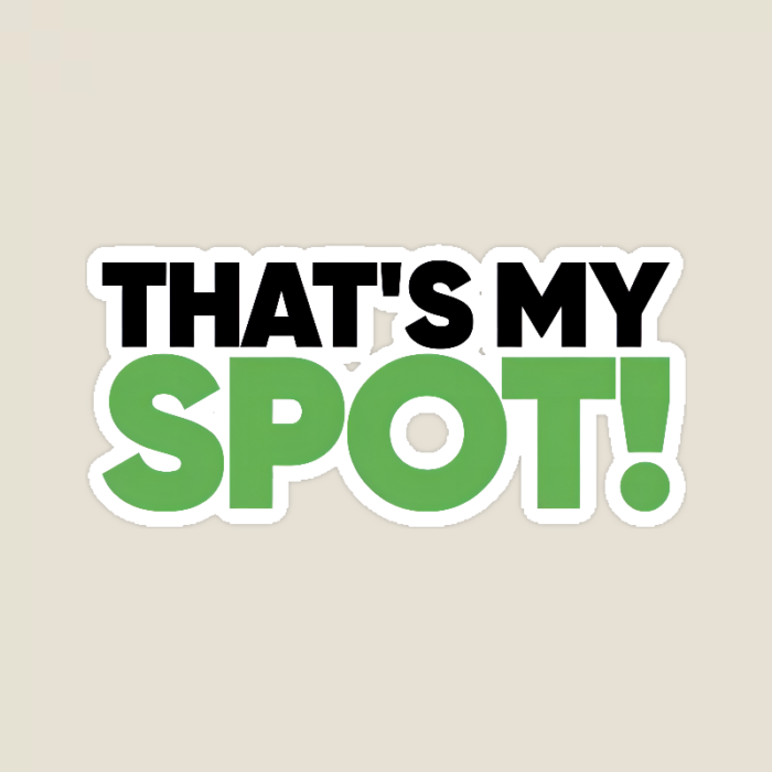 Sheldon’s Sacred Spot Big Bang Theory Sticker