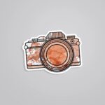 Aesthetic Camera Travels Stickers