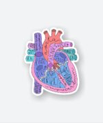 Anatomical Heart Sticker