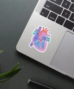 Anatomical Heart Sticker