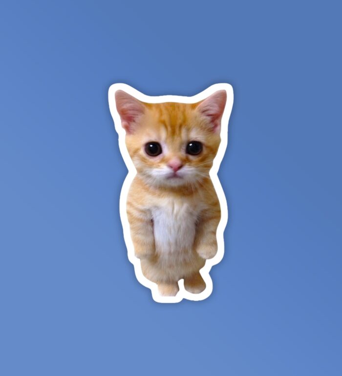 Angry Kitten Laptop Mobile Stickers
