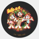 Animaniacs Hello O O Retro Equalizer Graphic Classic Round Sticker