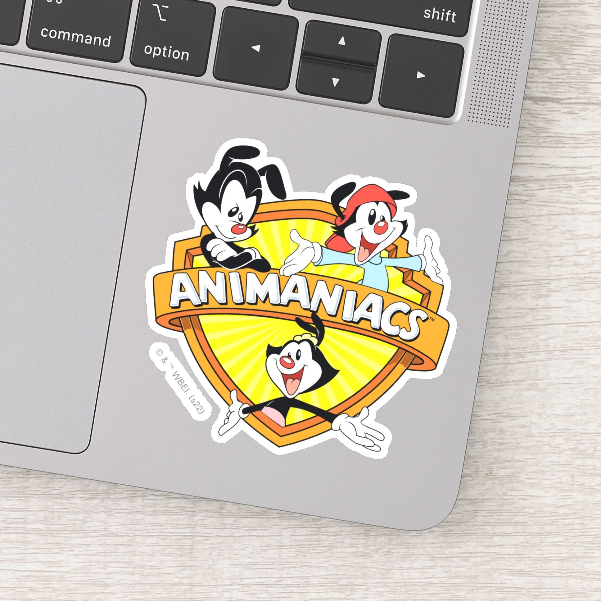 Animaniacs Warner Brothers Sister WB Shield Sticker