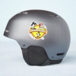 Animaniacs Warner Brothers Sister WB Shield Sticker