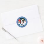 Animaniacs Warner Siblings Circle Graphic Classic Round Sticker