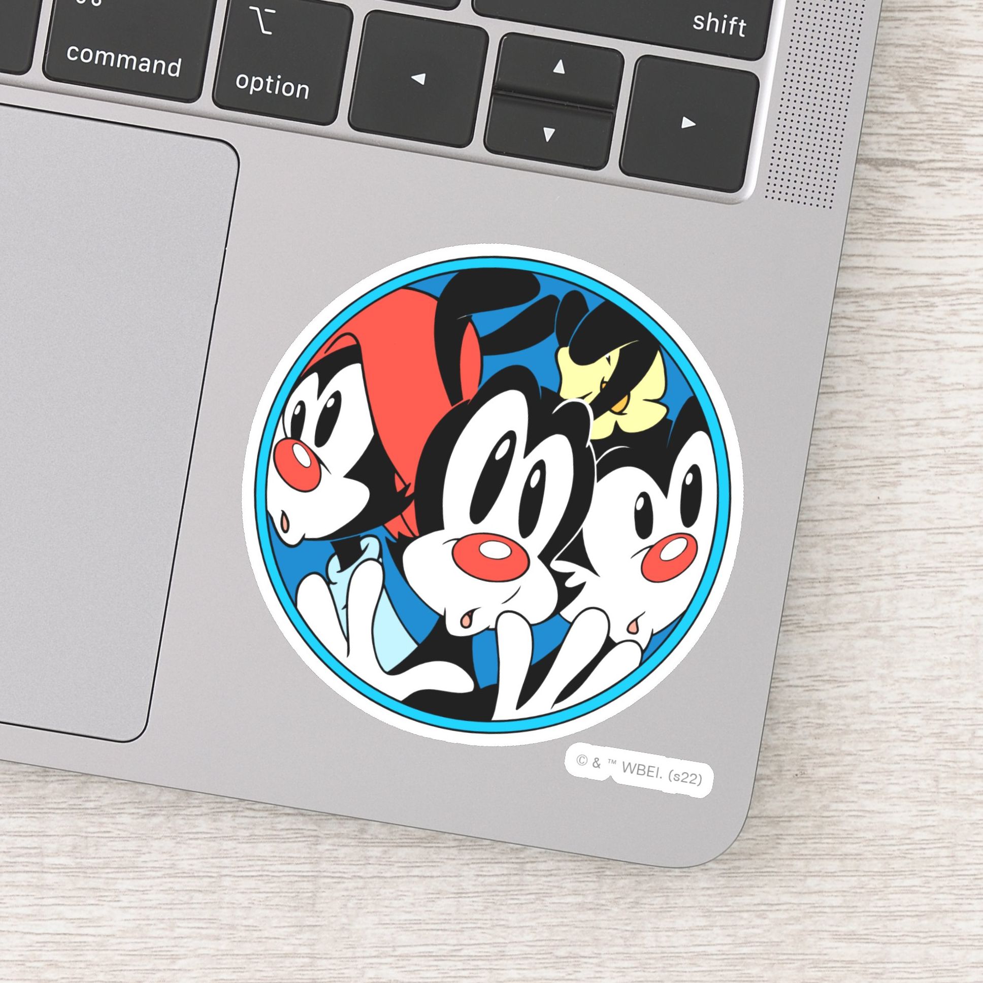 Animaniacs Warner Siblings Circle Graphic Sticker