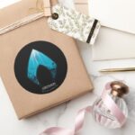 Aquaman See Through Aquaman Logo Ocean Graphic Classic Round Sticker