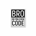 BRUH Do You Even Code_ Sticker