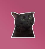 Black Cat Meme   Laptop Mobile Stickers