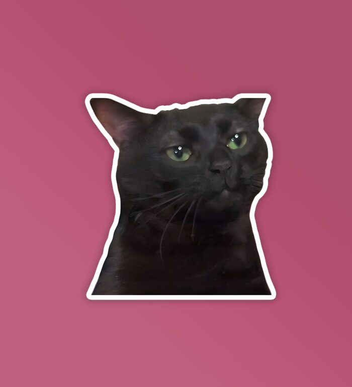 Black Cat Meme   Laptop Mobile Stickers