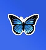 Blue Butterfly