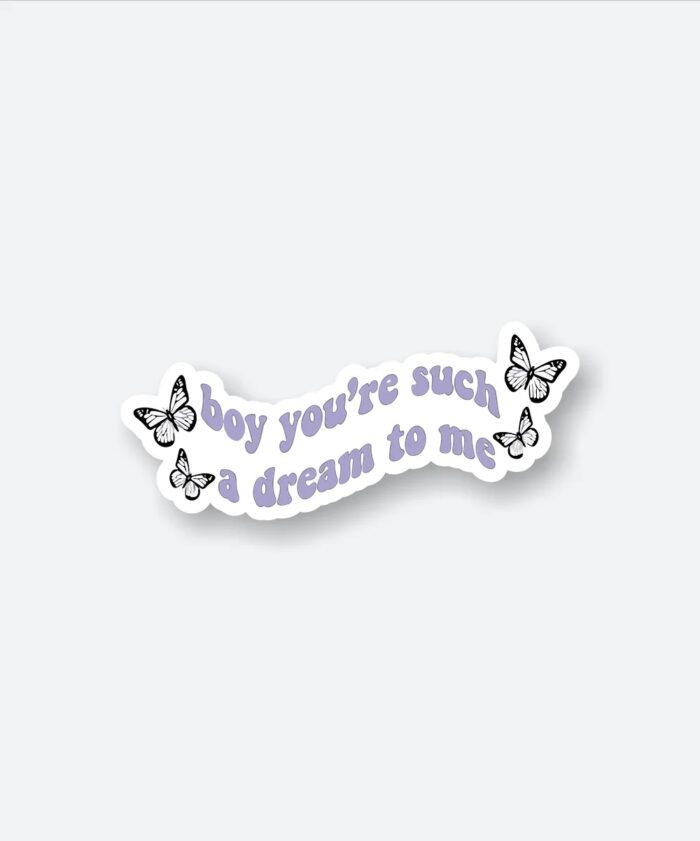 Boy Youre Such A Dream To Me Sticker