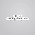 CEO Of Sleeping All Day Witty Stickers