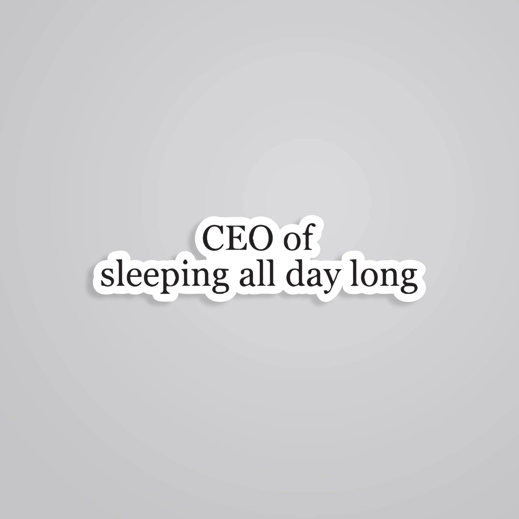 CEO Of Sleeping All Day Witty Stickers