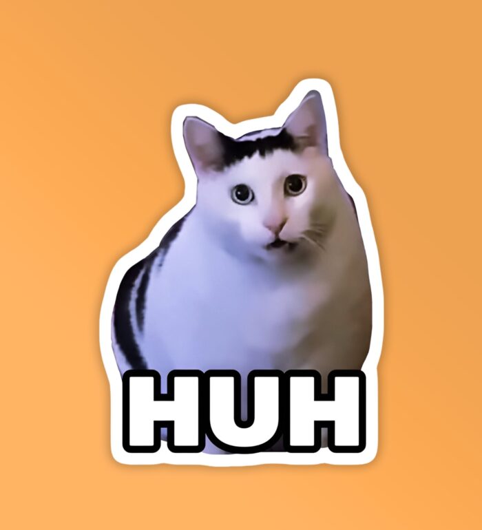 Cat Meme HuH Laptop   Mobile Sticker