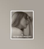 Chairman Of TTDP Taylor Swift Stickers