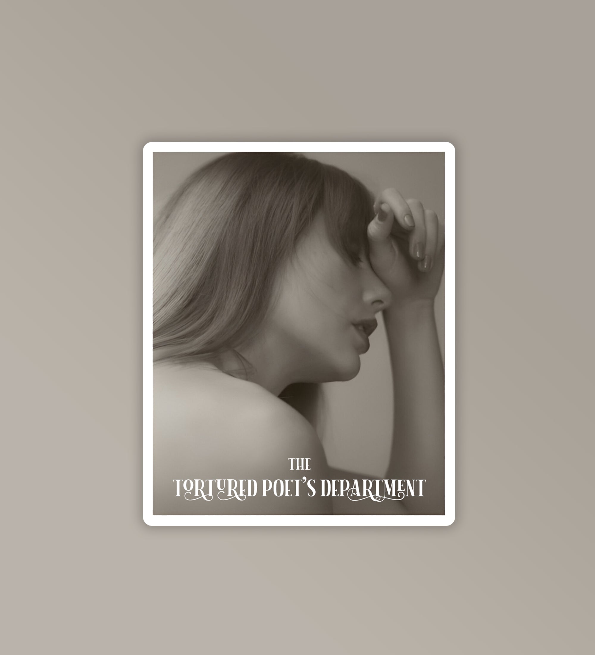 Chairman Of TTDP Taylor Swift Stickers