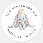 Dumbo Watercolor Birthday Address Classic Round Sticker