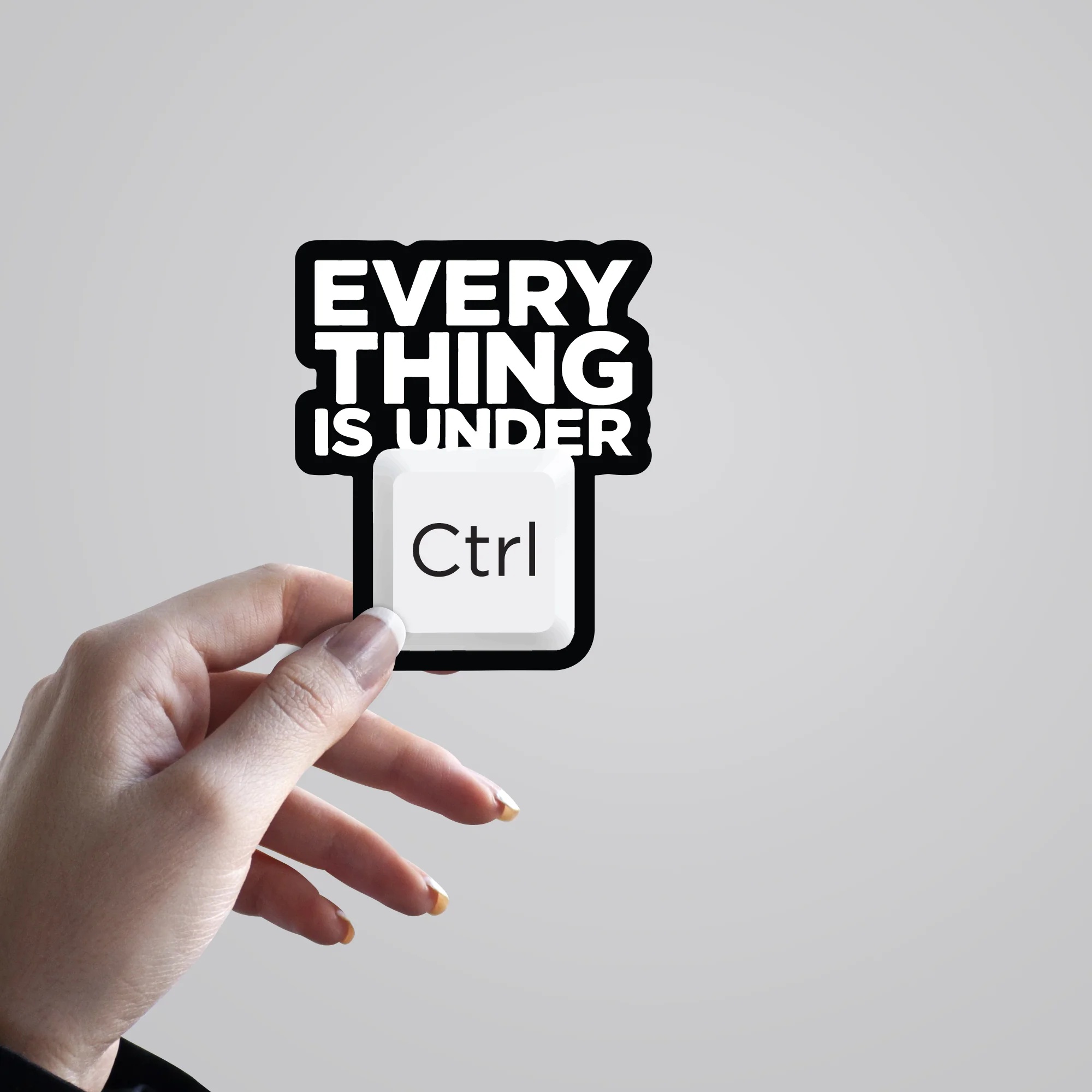 Everything Is Under Ctrl Witty Stickers
