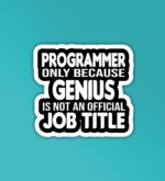 Genius Programmer Coding Sticker