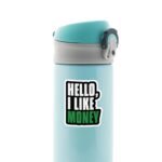 Hello I Like Money Witty Stickers