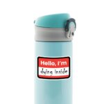 Hello Im Dying Inside Witty Stickers