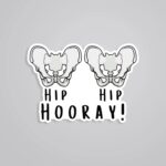 Hip Hip Hooray Witty Stickers