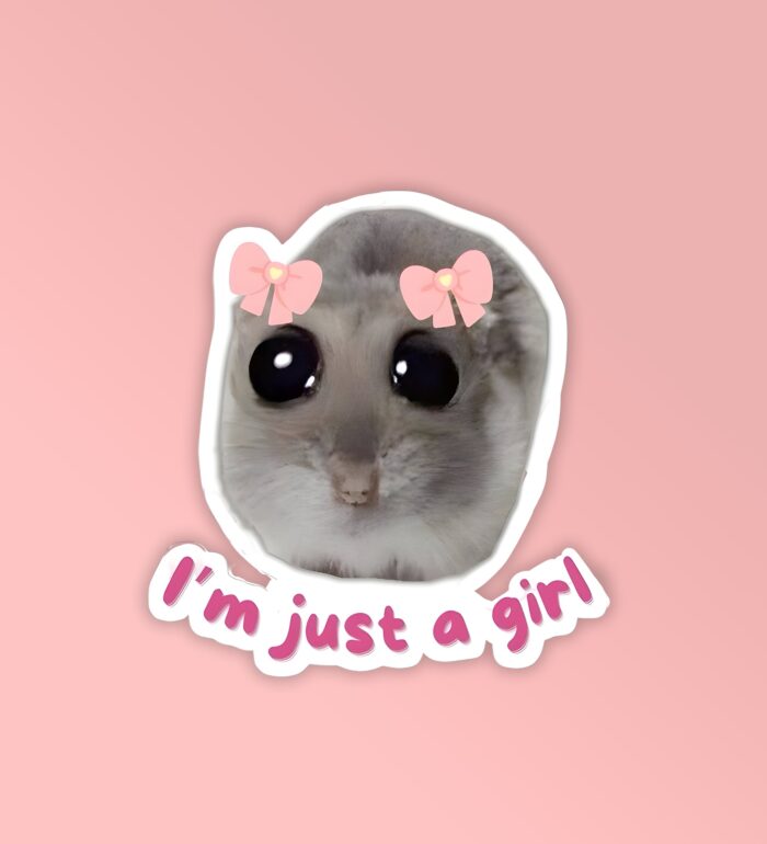 I Am Just A Girl   Laptop Mobile Stickers