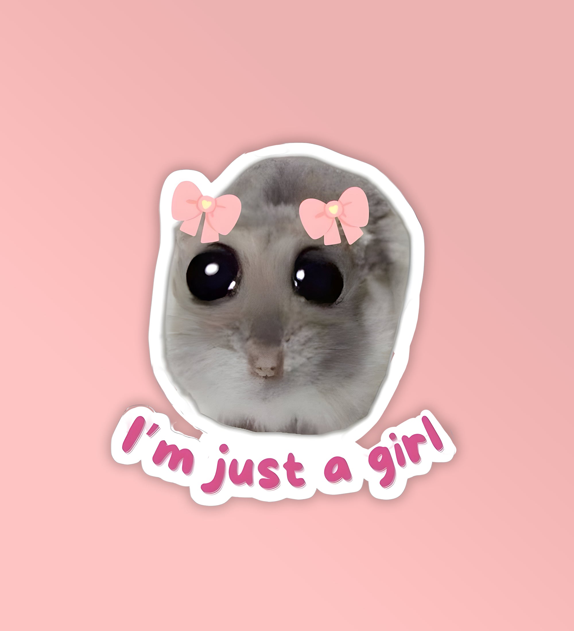 I Am Just A Girl   Laptop Mobile Stickers