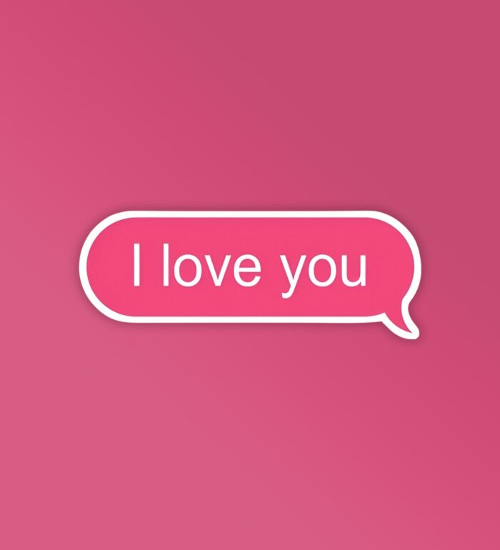 I Love You Text   Laptop Mobile Stickers