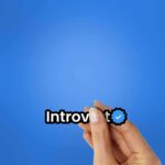 Introvert Verified Sticker