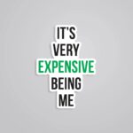 Its Very Expensive Being Me Witty Stickers