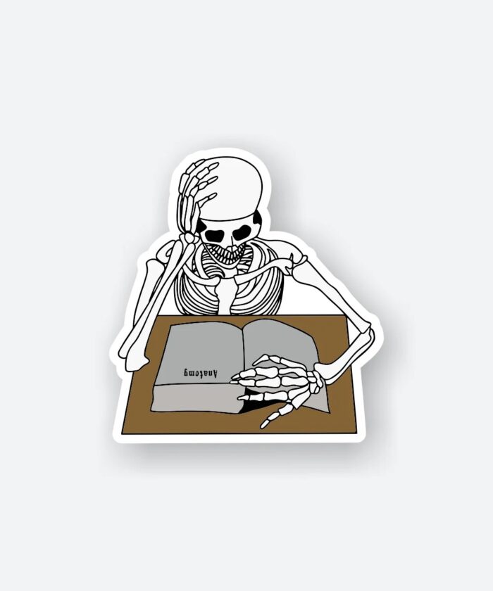Learning Anatomy Sticker