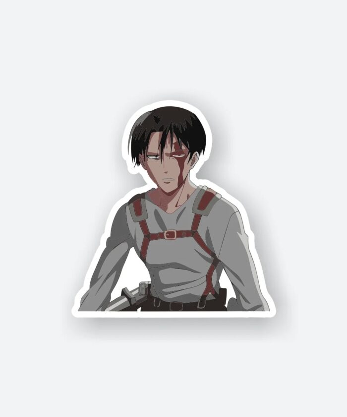 Levi Injured Sticker