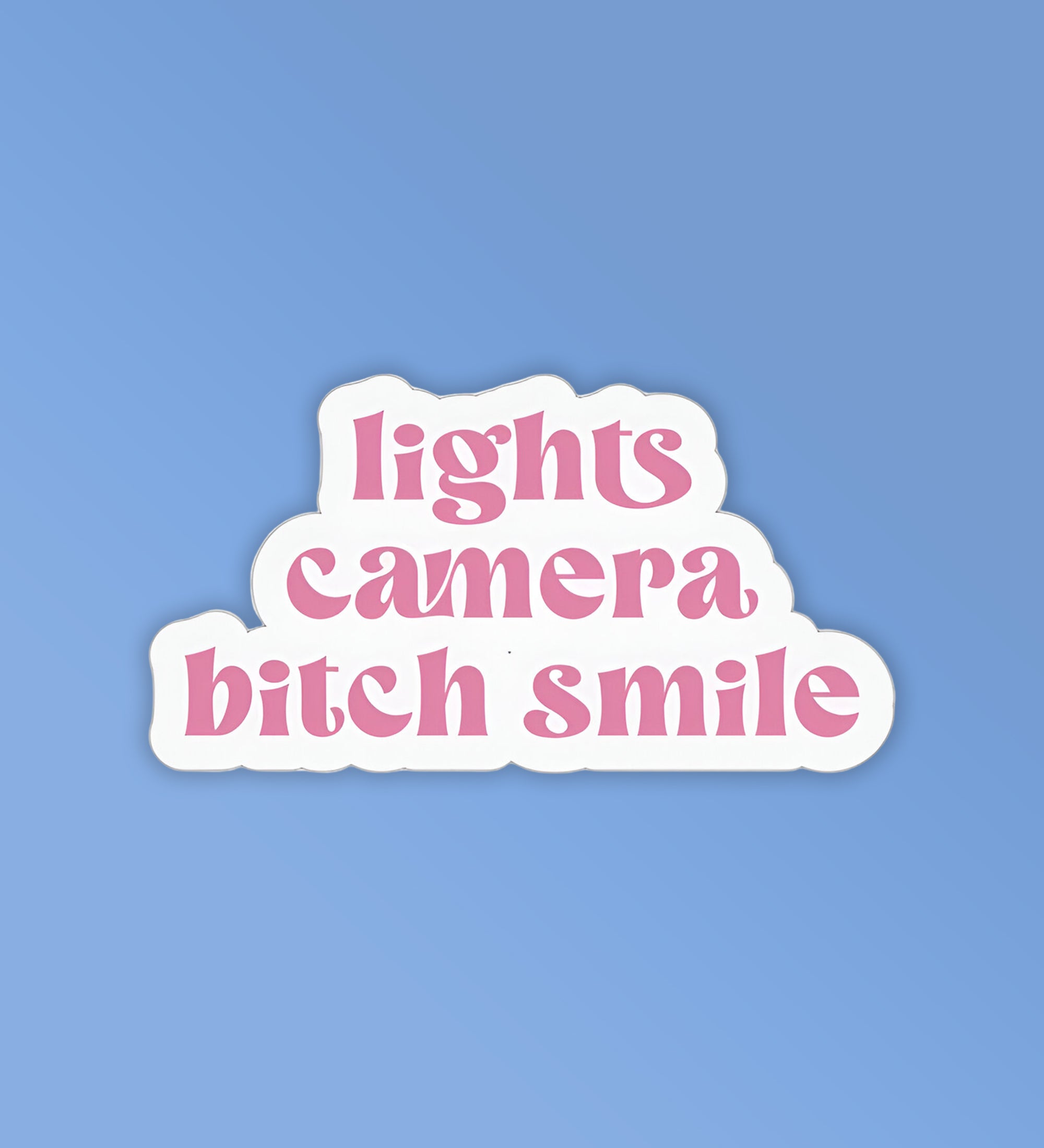 Lights Camera Bitch Smile Taylor Swift Stickers