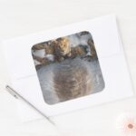 Mufasa Reflection Square Sticker