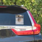 Mufasa Reflection Sticker