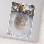 Mufasa Reflection Sticker