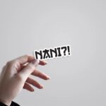 Nani Anime Stickers