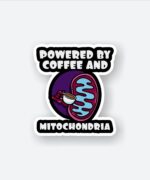 Powered By Coffee And Mitochondria