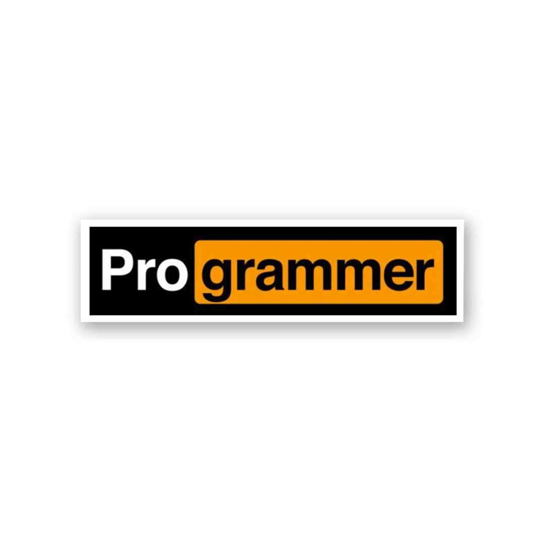 Pro Grammer Sticker
