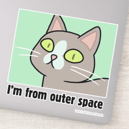 RICK AND MORTY™ Im From Outer Space Sticker