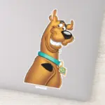 Scooby Doo Grin Sticker