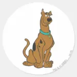 Scooby Doo Puppy Eyes Classic Round Sticker