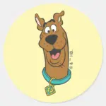 Scooby Doo Smiling Face Classic Round Sticker